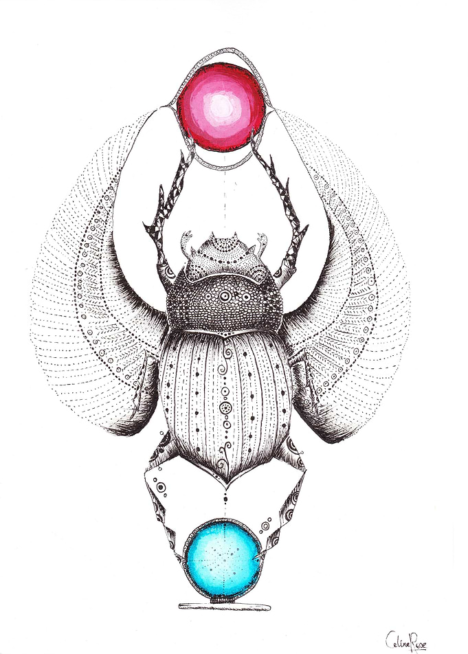 scarabee