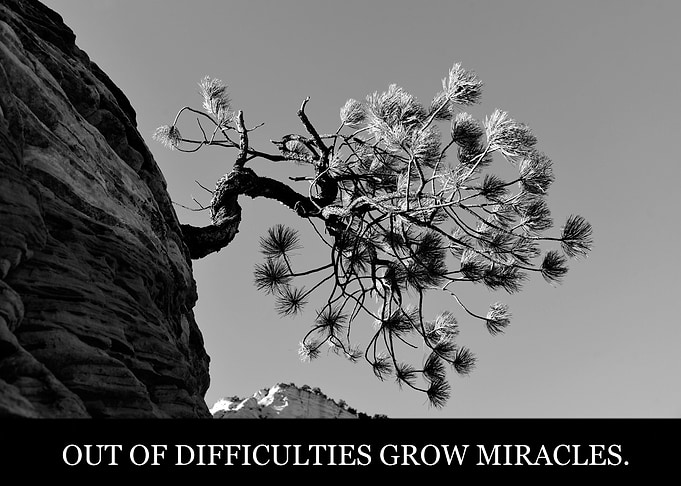 Miracles from stone