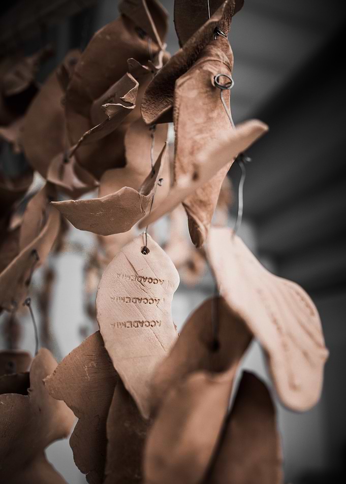 Clay leaves