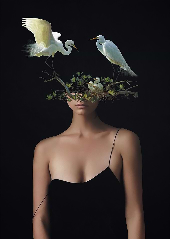 Lady with Birds 3