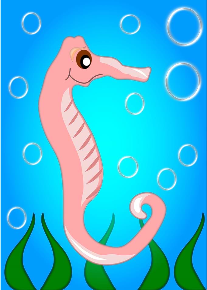 Sea Horse
