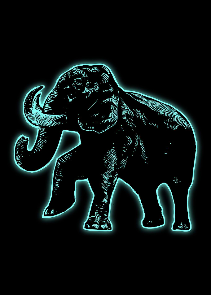 Elephant Light4