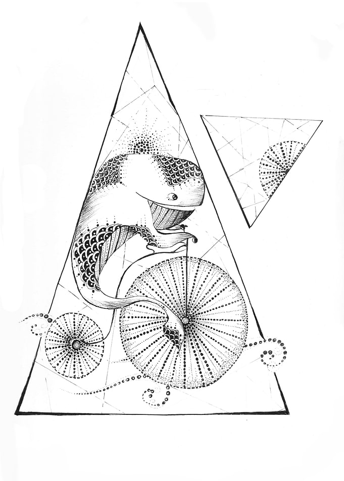 baleine sur un velo