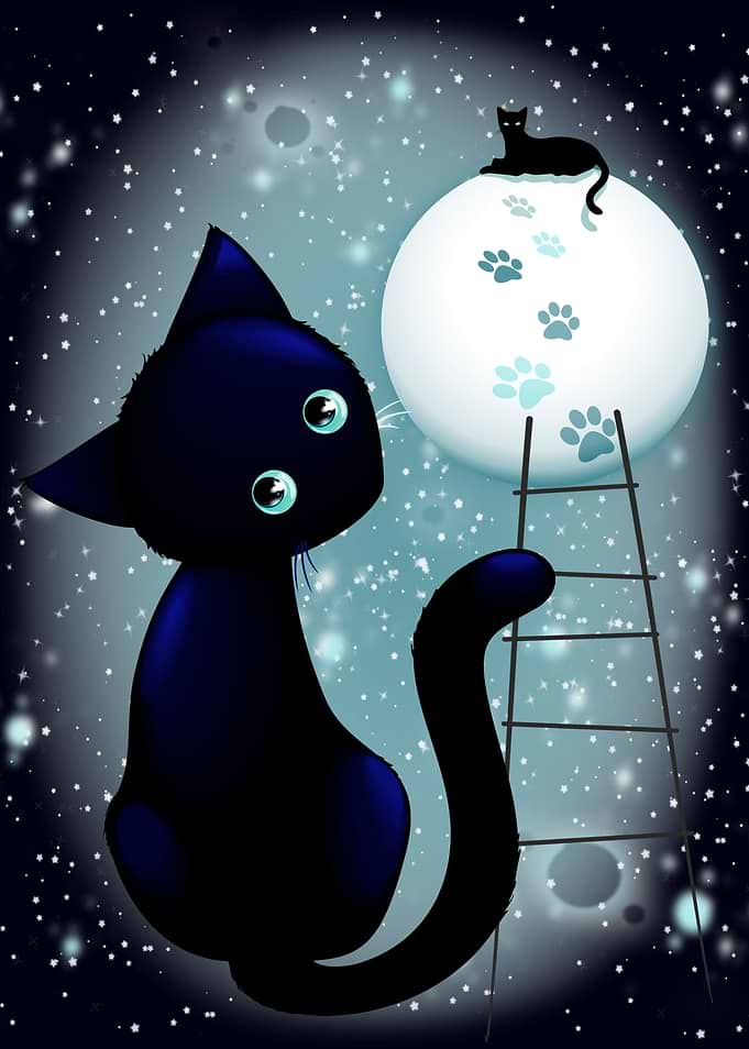 Blue Kitty Dream