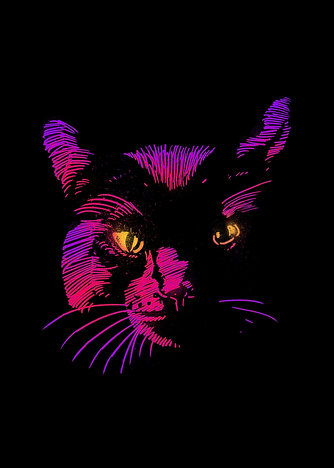 Cat Eye