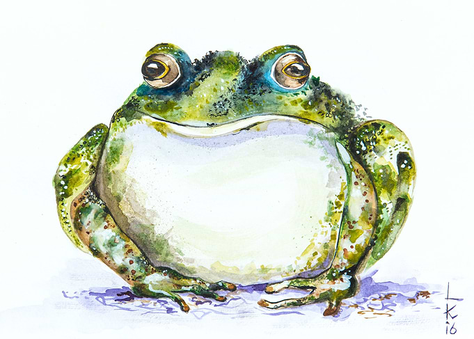 Toad
