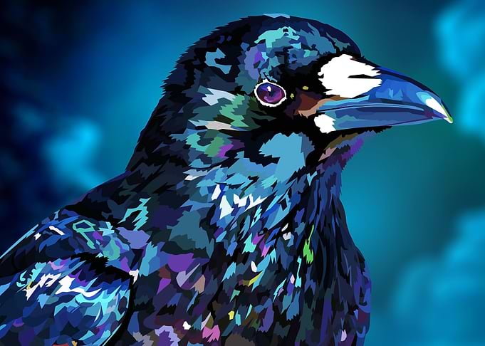 Shiney raven