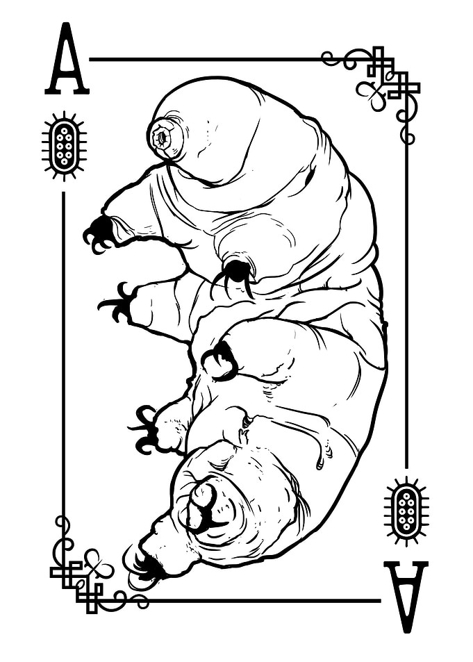Tardigrace