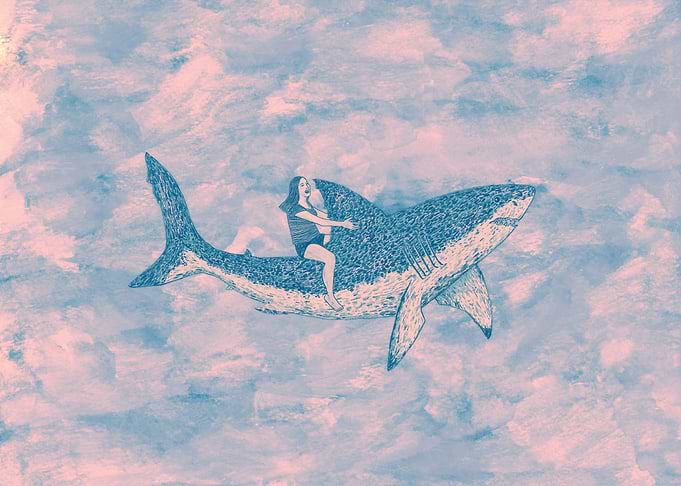 Shark Dreamz