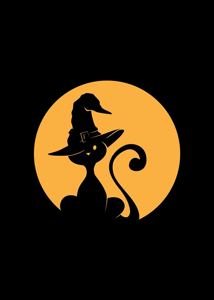 witch cat