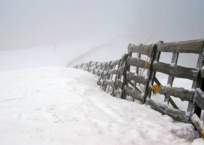 FREEZING STILLNESS