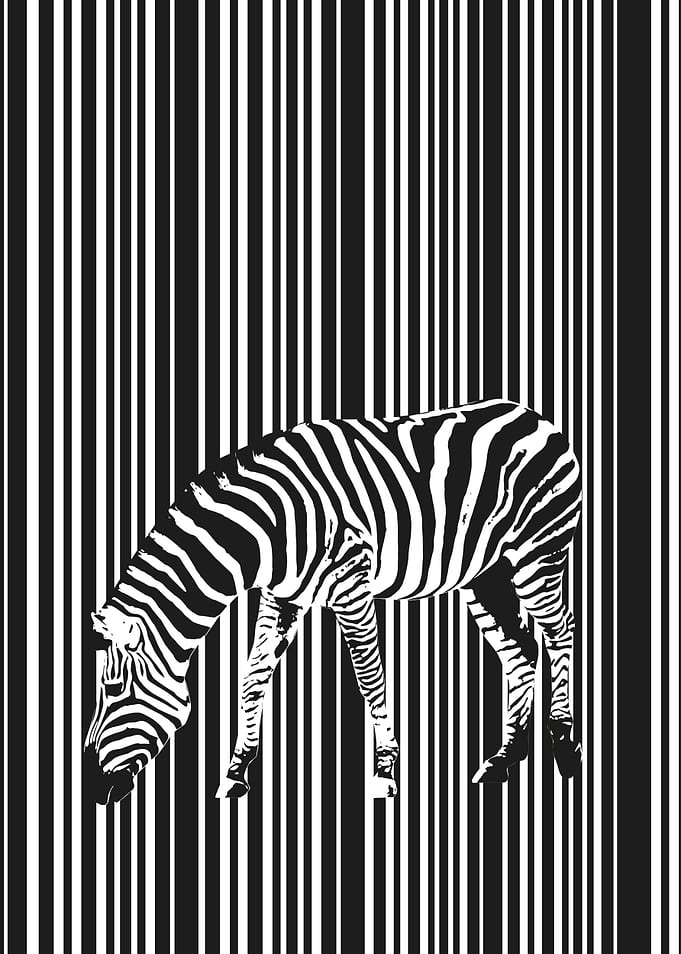 Zebra stripes