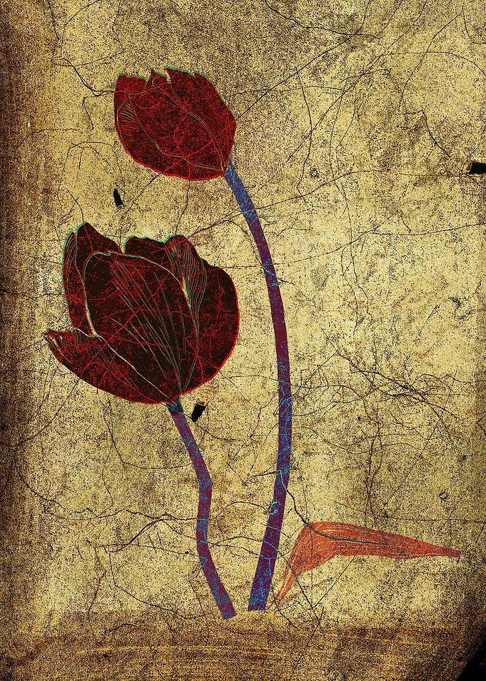 2 tulips