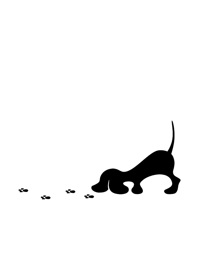 puppy tracking trail