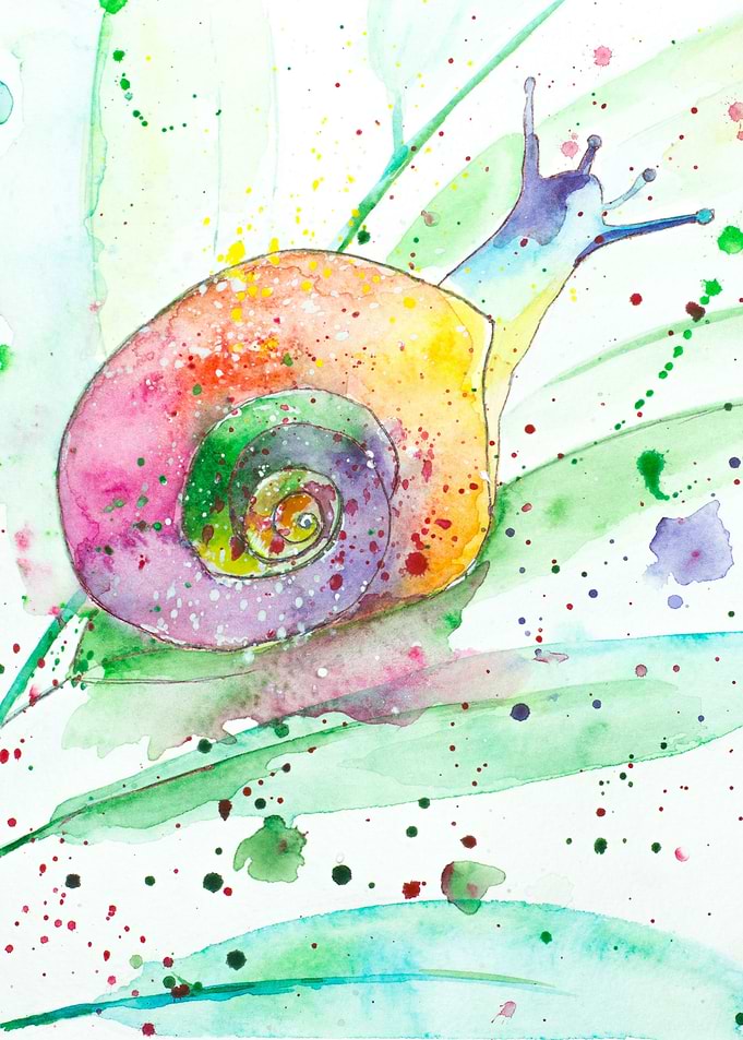 Snail