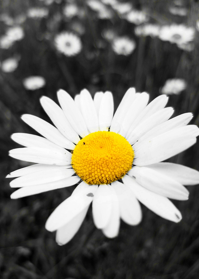 Smell the flowers