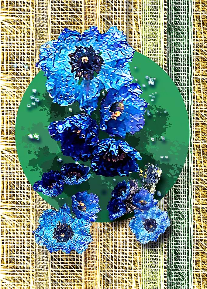 Dewy Blue Flowers