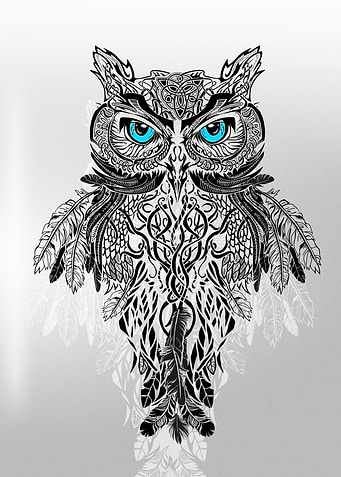 owl main
