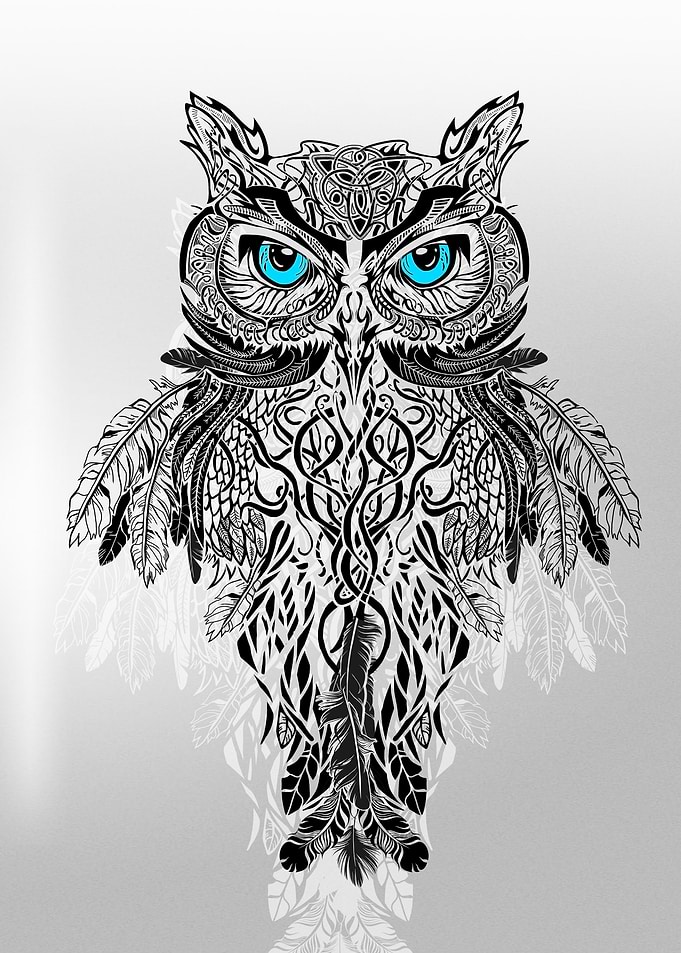 owl main
