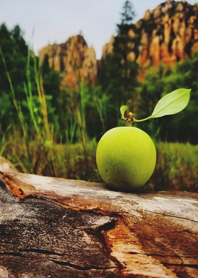 Fresh Apples