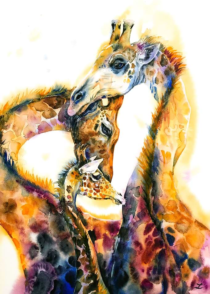 Giraffe Family