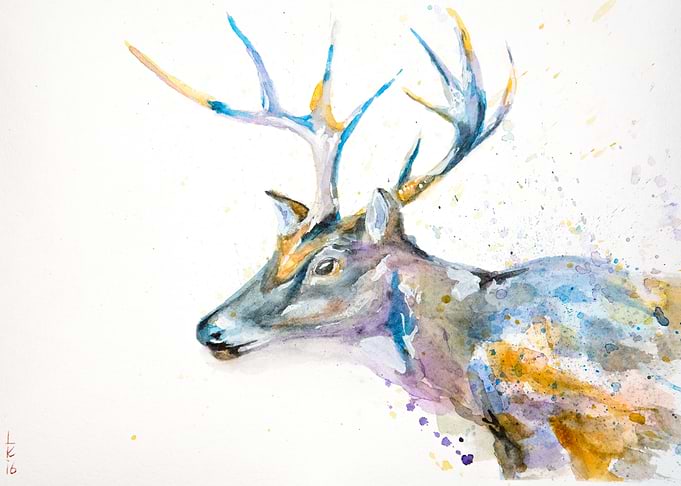 The deer