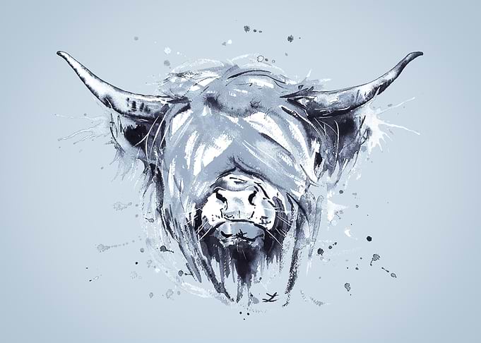 Highland Cattle Ice