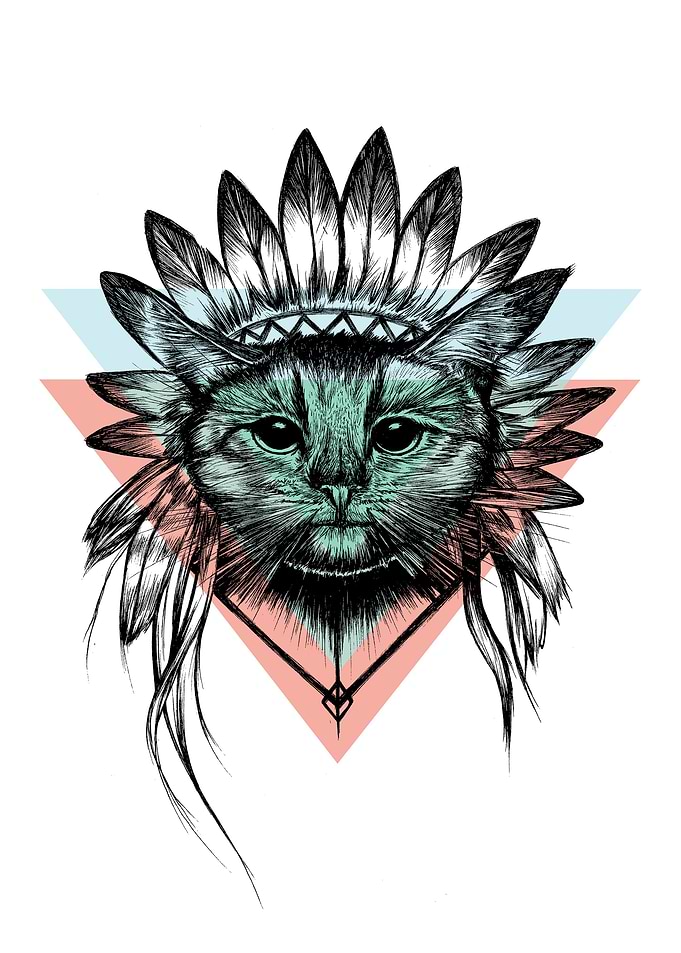 Cat with feathers