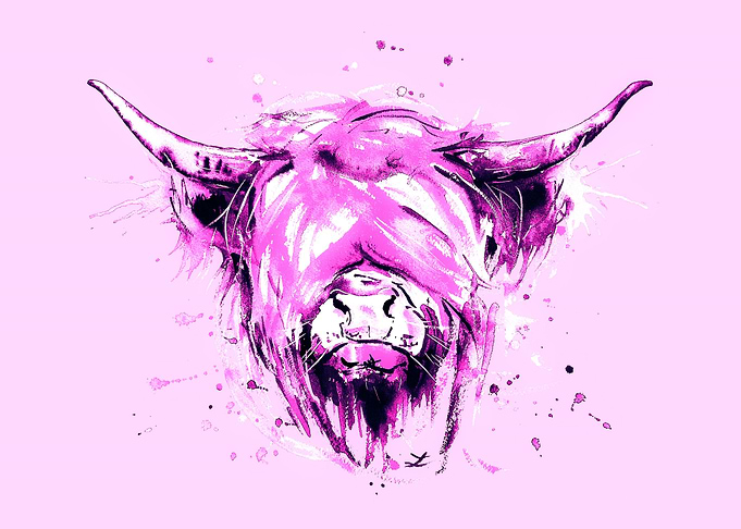 Highland Cattle Purple