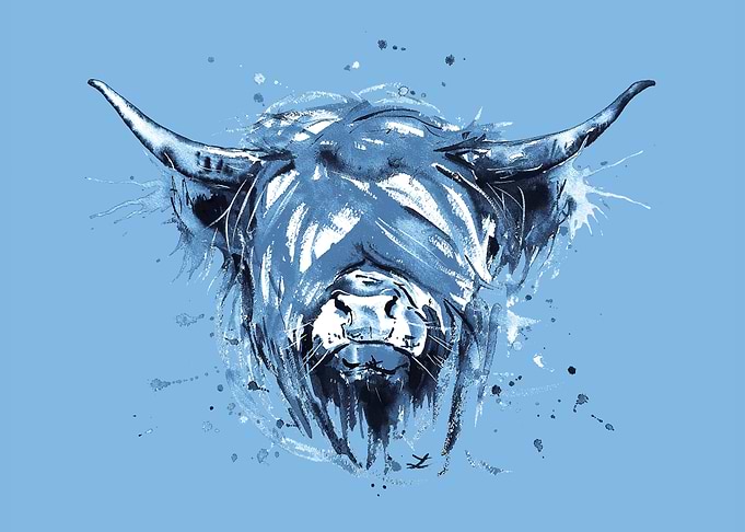 Highland Cattle Blue