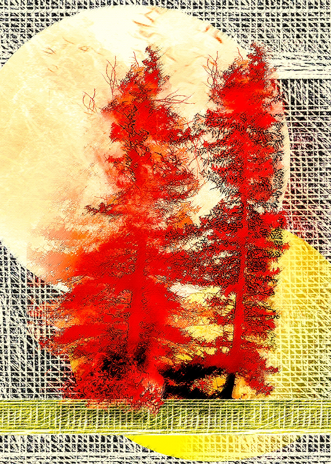 Moonlight on Fire