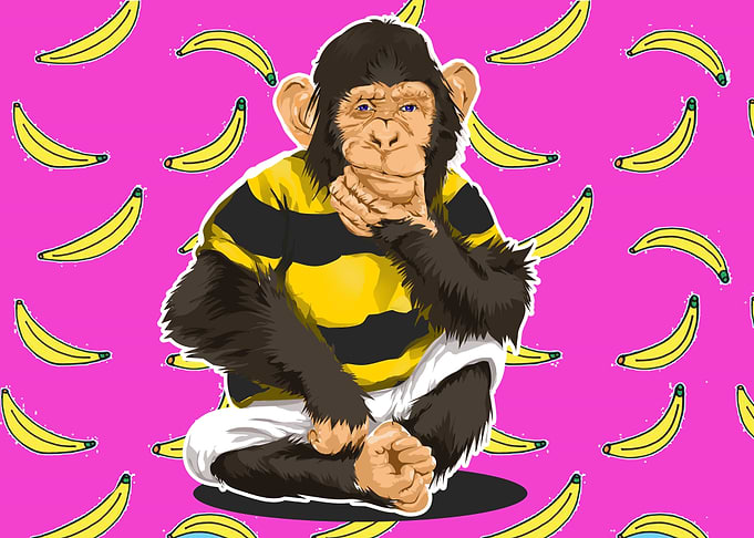 thinking chinpance