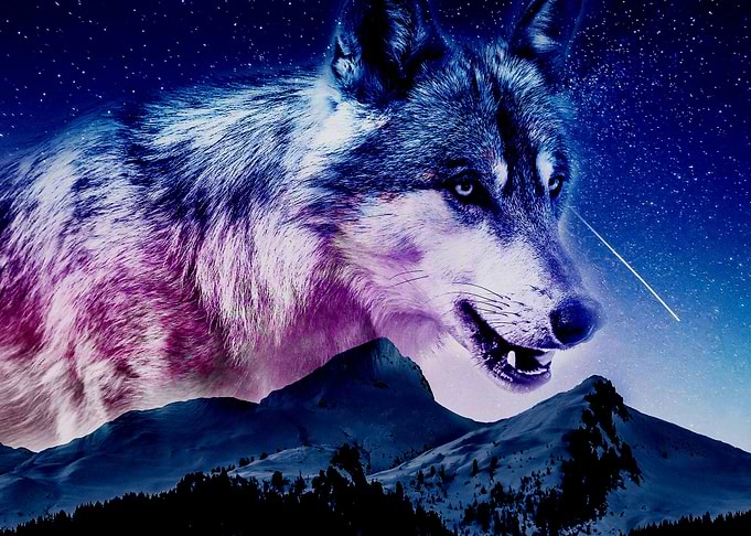 Wolf in Sky