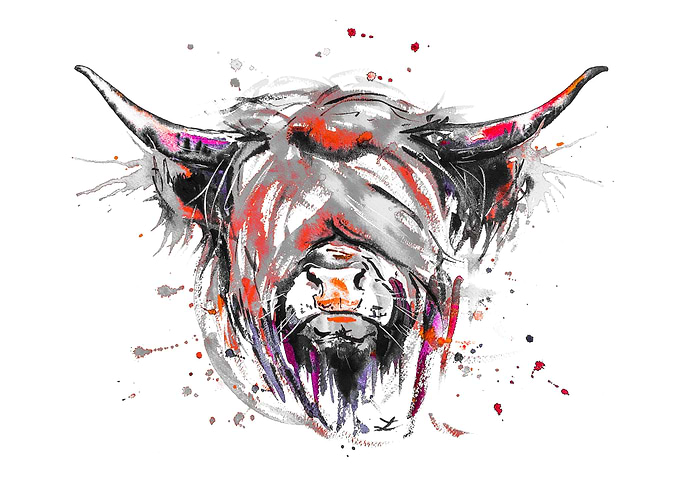 Highland Cattle Magenta