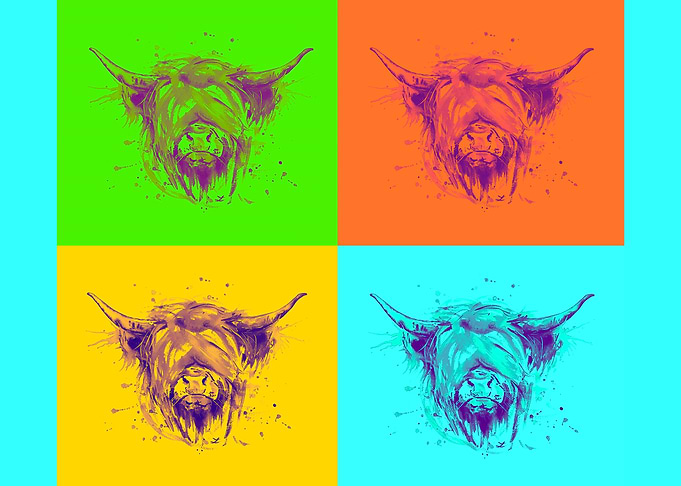 Highland Cattle Pop Art