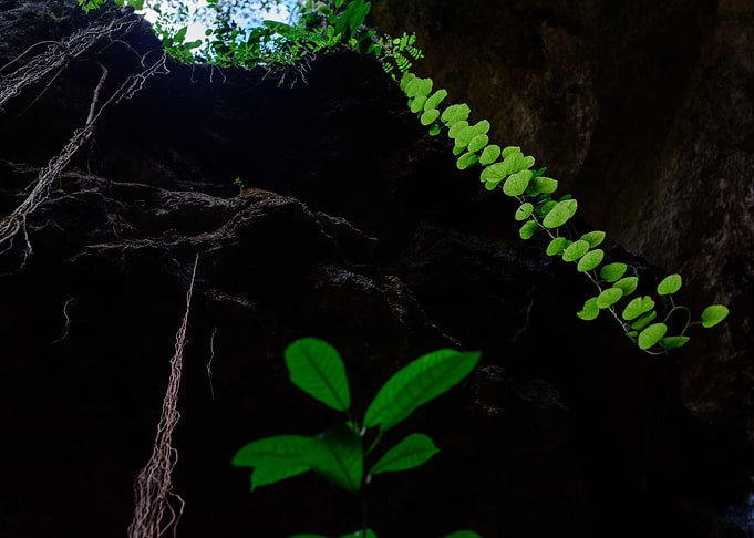Cave nature