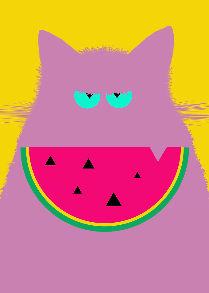 Watermelon Lilac Cat