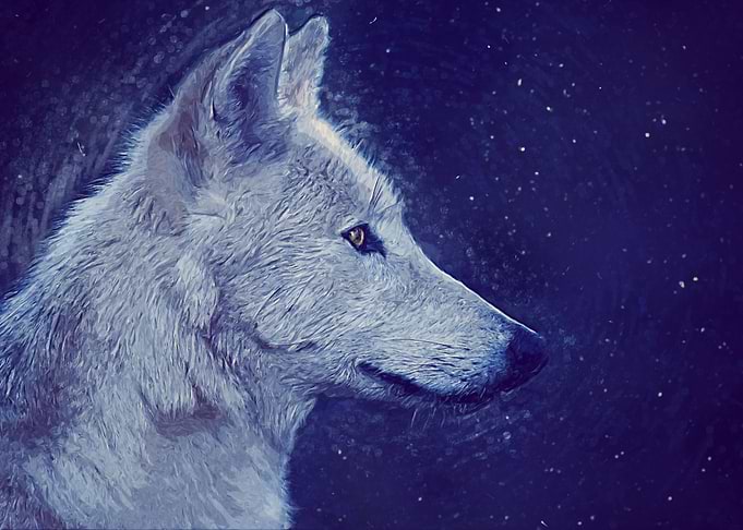 White Wolf Oil
