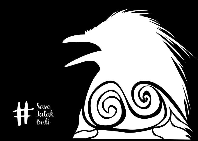 Jalak Bali