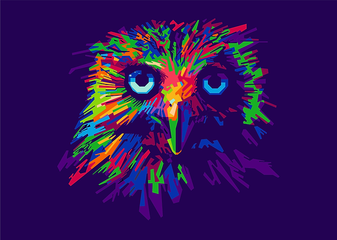 Owl in the dark