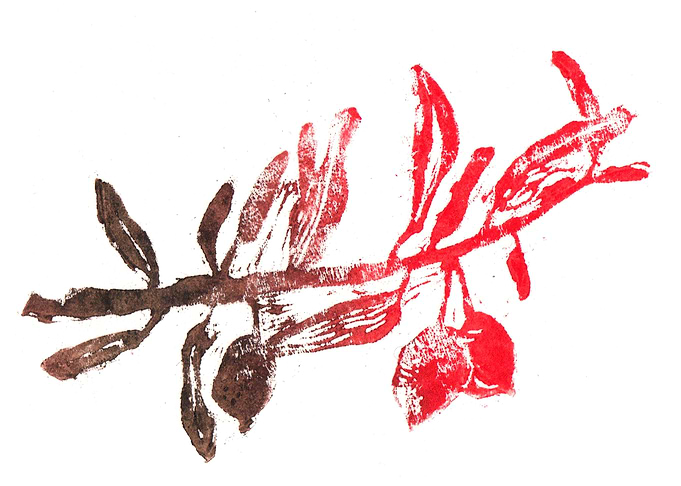 olive branch