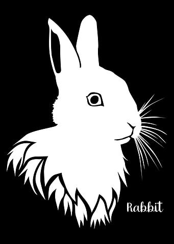 Rabbit Silhouette