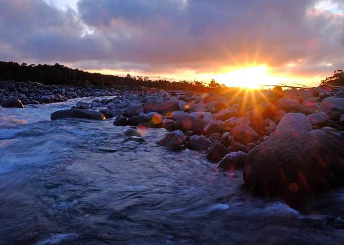 Sunburst
