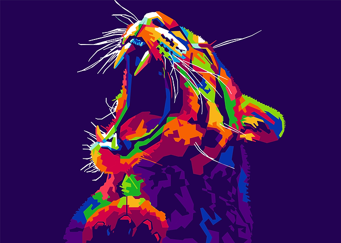 Cheetah in the dark