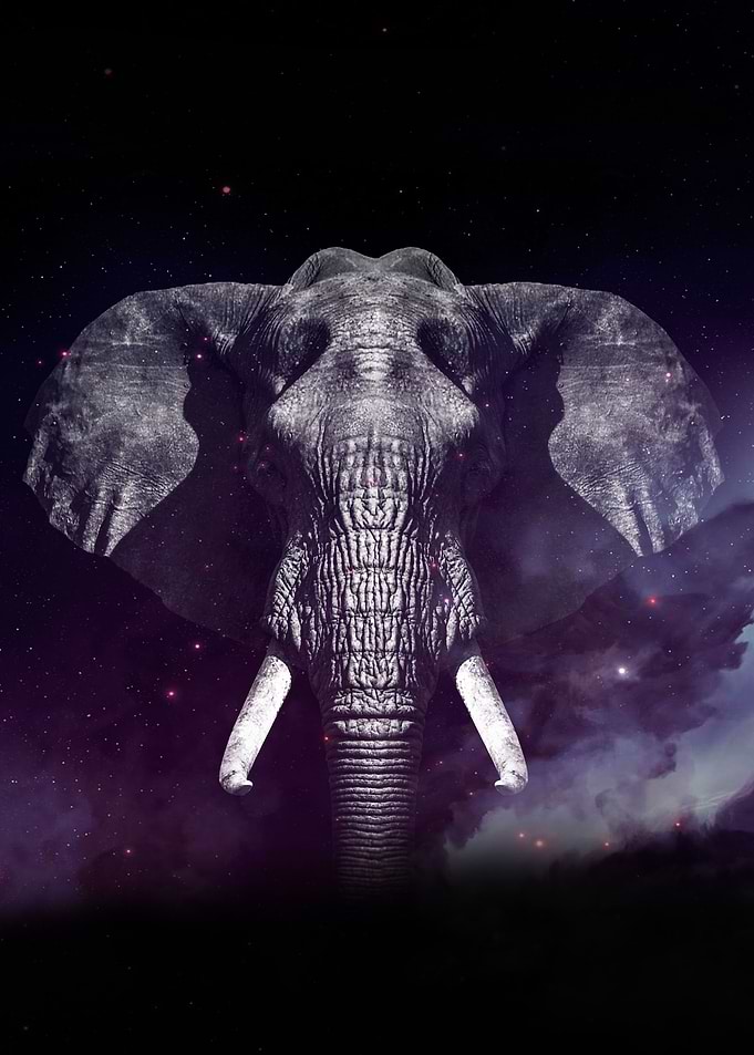 Galaxy Elephant wallpaper