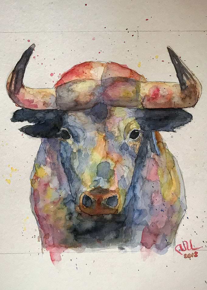 bull in watercolor