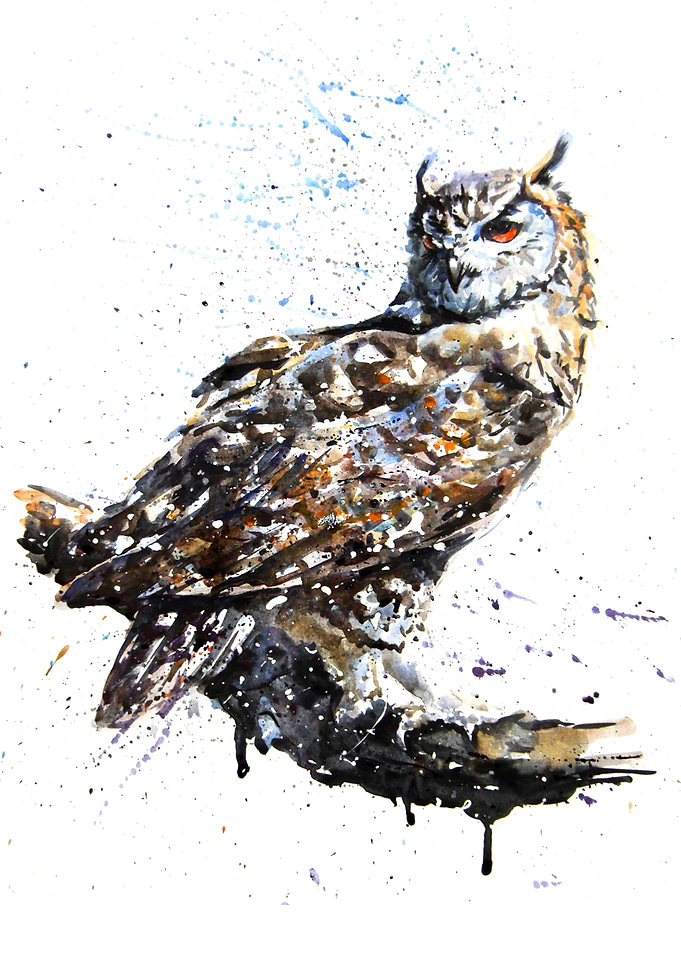 Owl watercolor painting