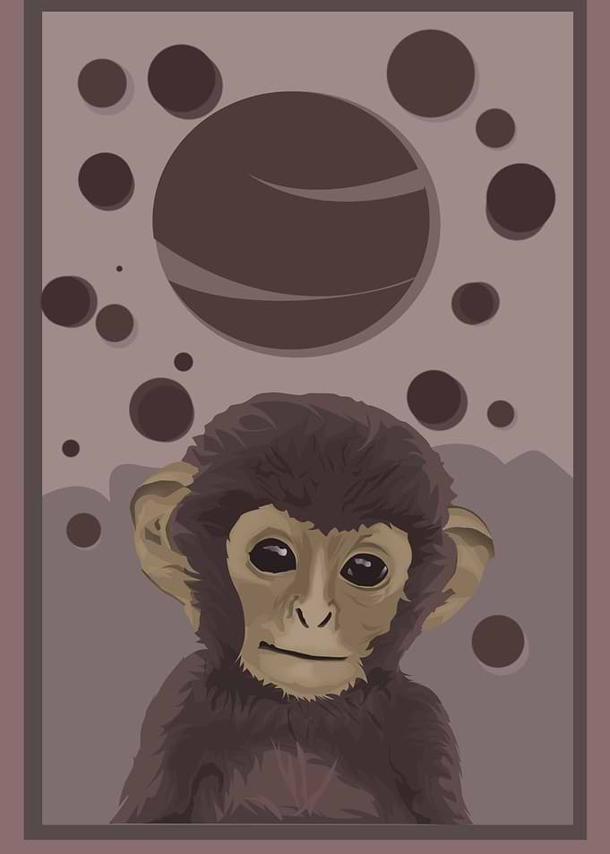 monkey the planets
