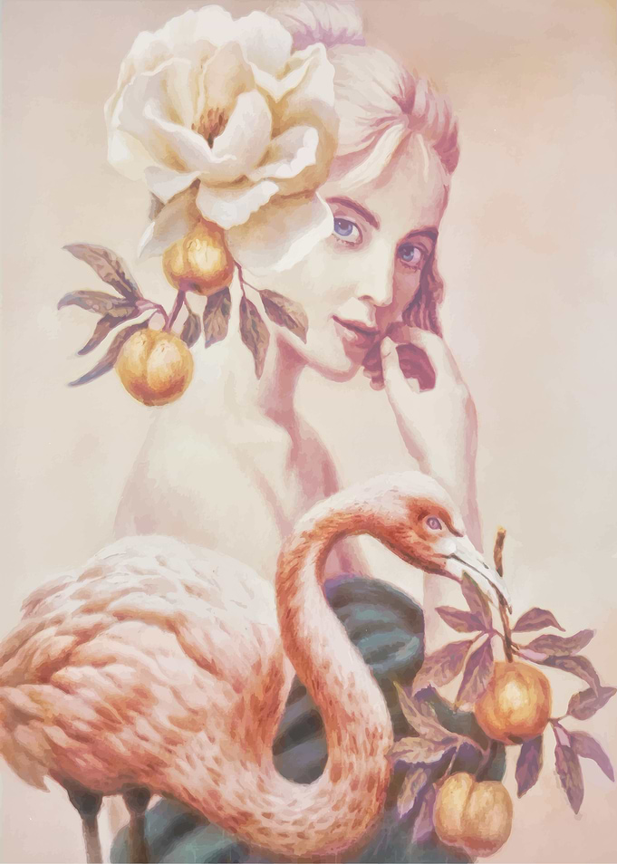 A Meeting with a Flamingo