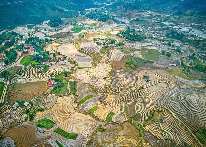 Aerial view of terraces